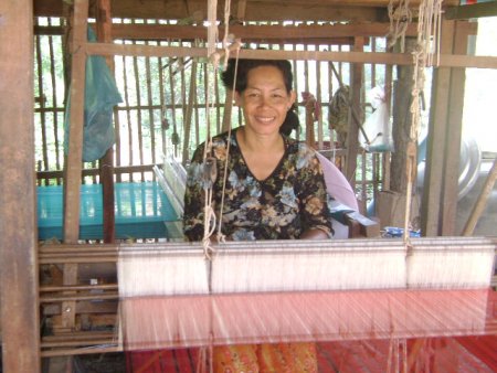silk weaver