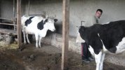 Video Script supports kiva.org
