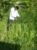 Video Script and Kiva.org